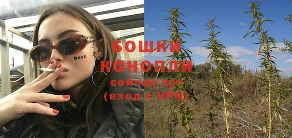 соль ск Новокубанск