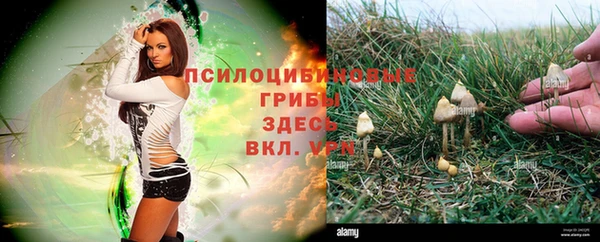 марки nbome Алзамай
