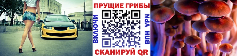 Псилоцибиновые грибы GOLDEN TEACHER гидра маркетплейс Можга